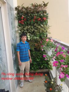 thi công vườn thẳng đứng