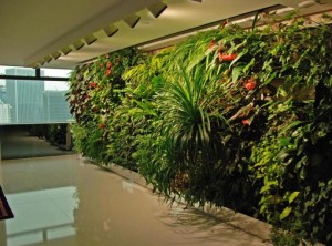 thiết kế vườn cây thằng đứng