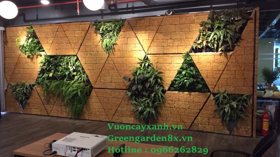 Thi công vườn thẳng đứng giá rẻ