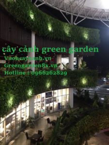 Thi công vườn thẳng đứng