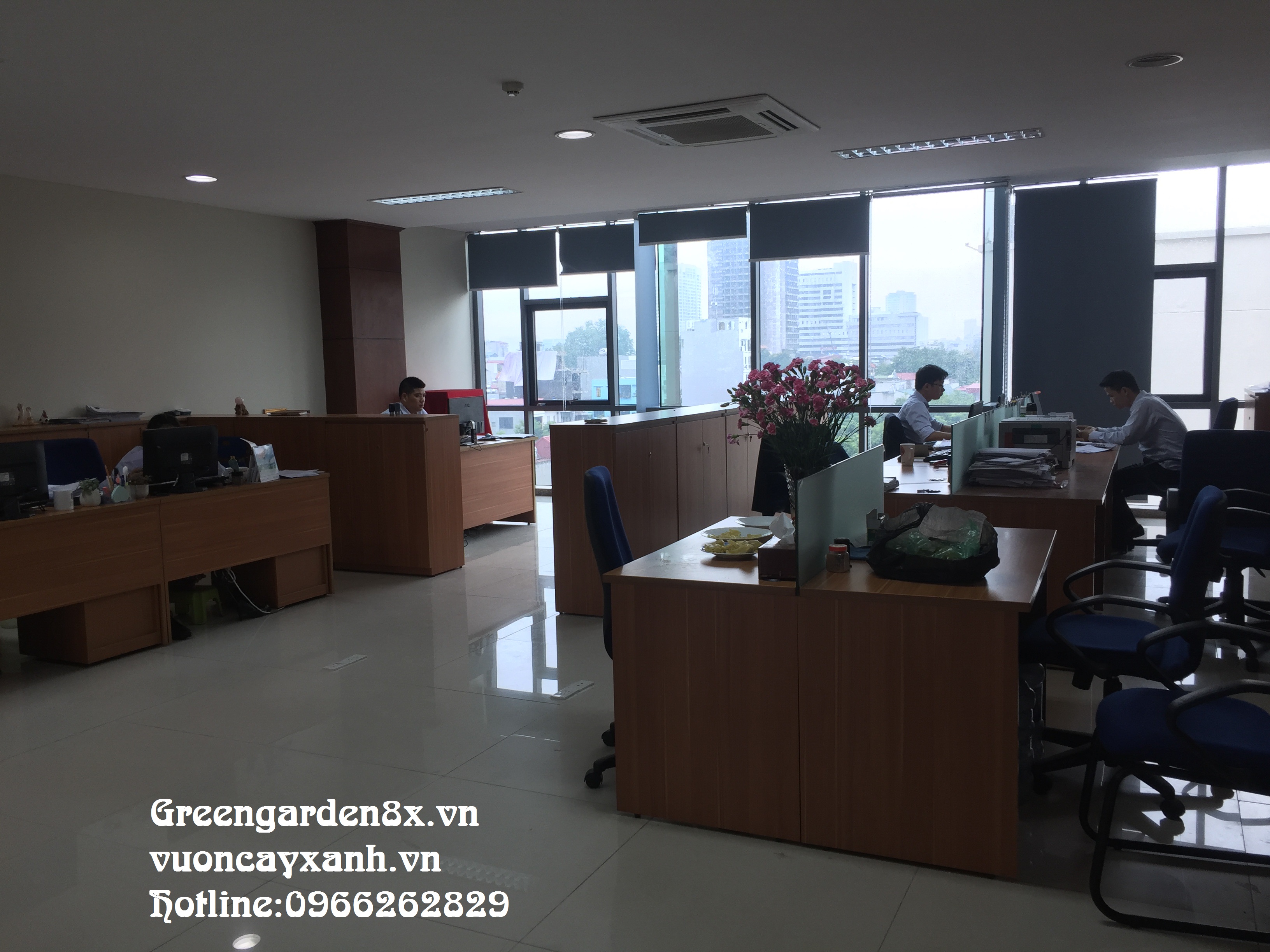 Báo giá dịch vụ cho thuê chăm sóc cây cảnh văn phòng