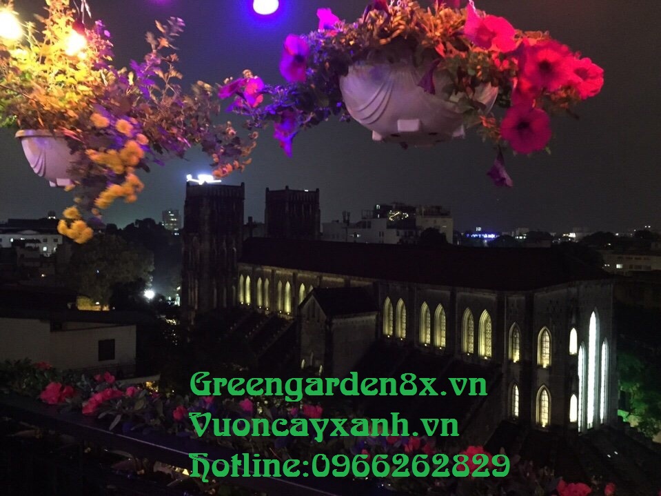Thi công vườn thẳng đứng