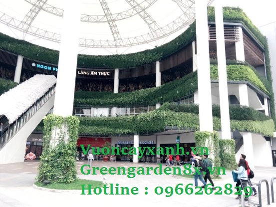 Thi công vườn thẳng đứng