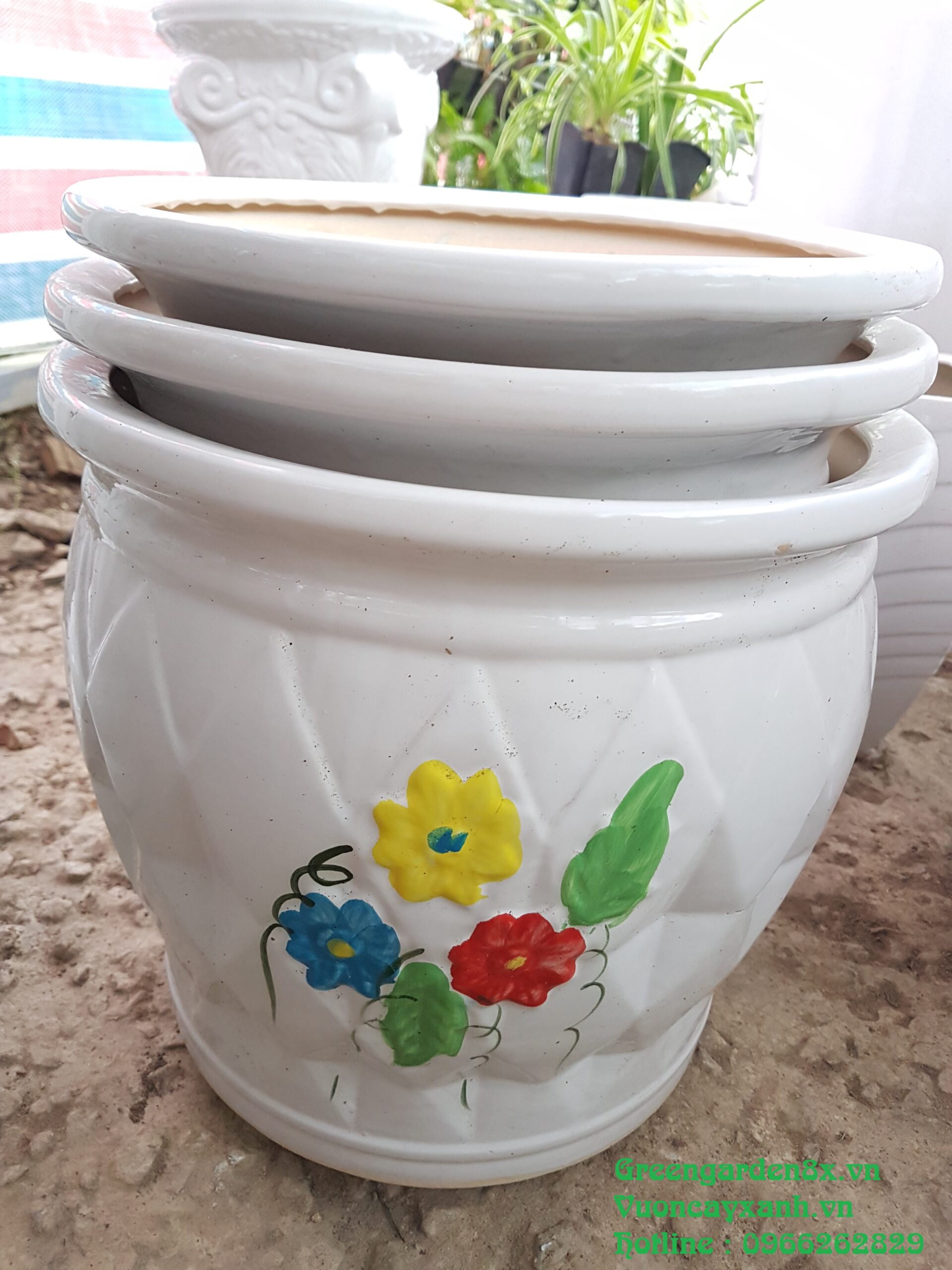 Chậu trám hoa thấp