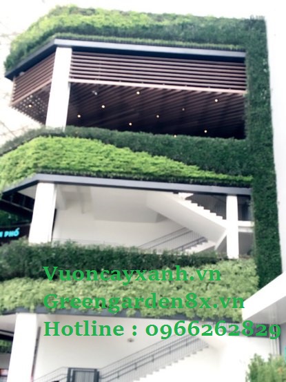 vườn thẳng đứng là gì