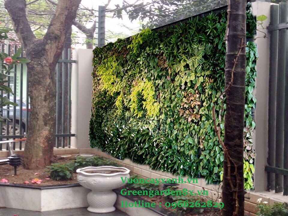 vườn thẳng đứng là gì