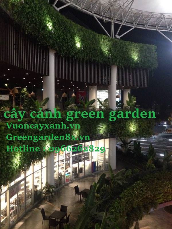 vườn thẳng đứng