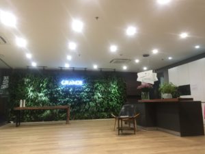 thi công vườn thẳng đứng van phòng