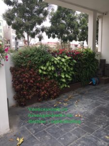 Báo giá thi công vườn thẳng đứng