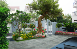 Tiểu cảnh sân vườn