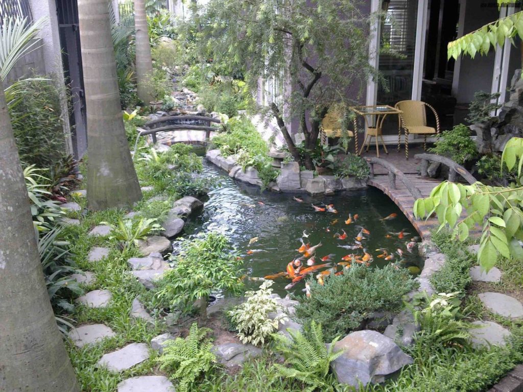 nước trong hòn non bộ