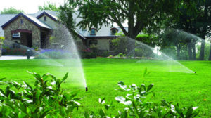 Tưới nước cho sân vườn
