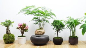 vật phẩm phong thủy