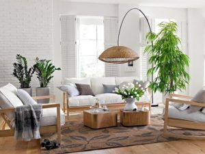 vị trí trồng cây trong nhà