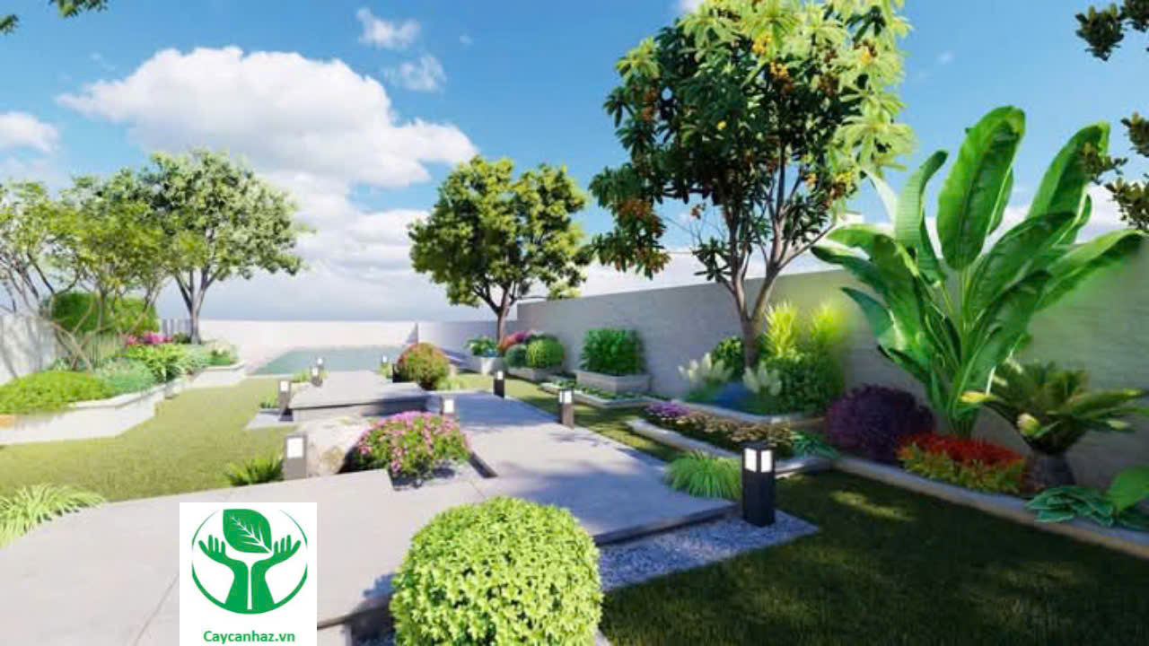 dịch vụ thiết kế thi công cảnh quan sân vườn