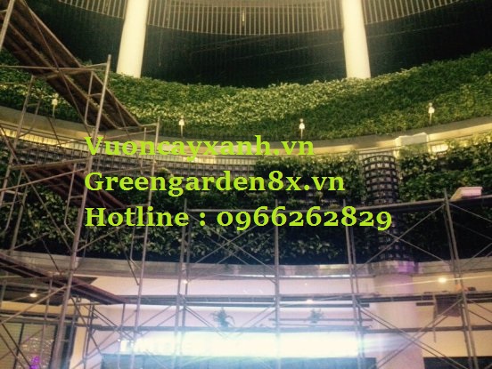 Thi công vườn thẳng đứng giá rẻ chất lượng nhanh gọn